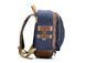 Рюкзак Billingham 25 Rucksack - Navy Canvas / Chocolate Leather (502504-54)